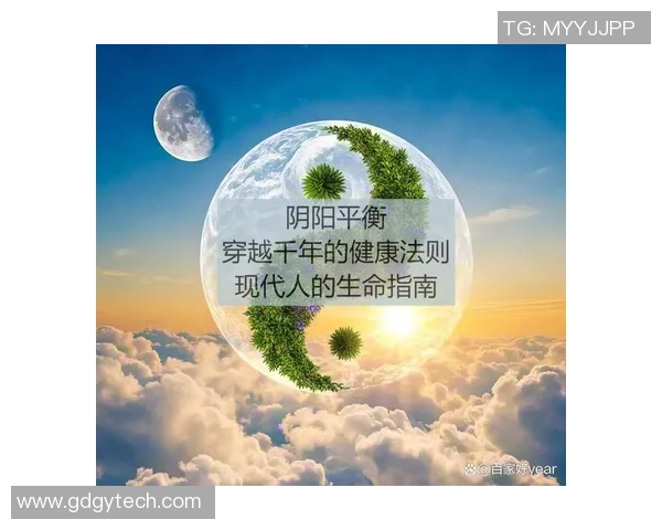 在顾全大局中寻找平衡与发展的智慧之道